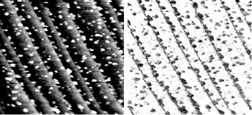 STM Topograph and Chemical Image