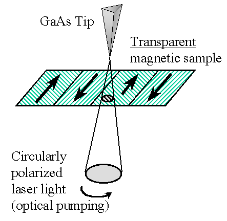 SPSTM with optically pumped tip
