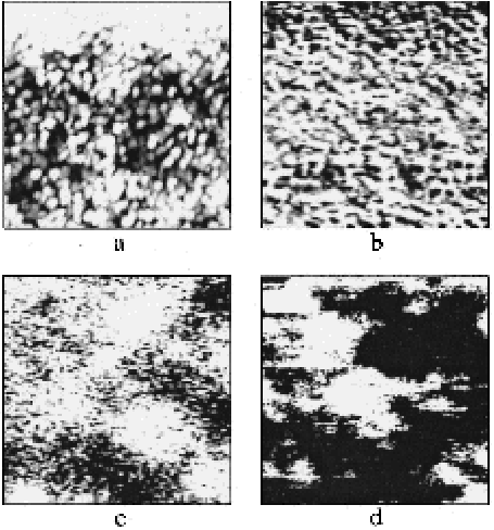 Optically-pumped SPSTM images.